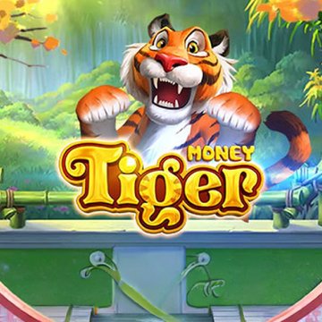 Money Tiger